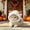 White, variant on Christmas Halloween Plush Pet Hat Reindeer Cow Sheep Animal Shape Adjustable Warm Pet Headdress Cute Holiday Dress Up Accessory For Small Medium Dogs Cats Party Photo Prop Pet Hat