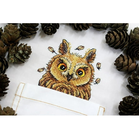 UPC: 4627128732192 | Cross Stitch on Clothes Curious Owl B-245 / SV-245
