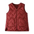 thumbnail image 2 of Naotn Quilted Zip Up Vest for Women Thermal Lightweight V Neck Jackets Travel Fall Outfits with Front Pockets, 2 of 6