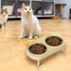 thumbnail image 1 of CaiYueKe Non-Slip Elevated Dog Bowls Stainless Steel Double Pet Feeder Dish Anti-Tip Spill Proof Bowls for Cats Small Dogs Senior Pets Food Water Bowls with Neck Support Easy Clean Feeding Station, 1 of 7