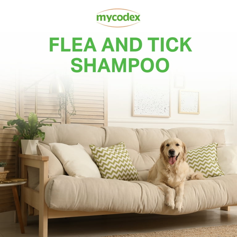 Mycodex shampoo clearance