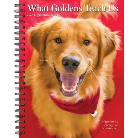 What Goldens Teach Us 2026 Engagement Calendar, (Paperback)