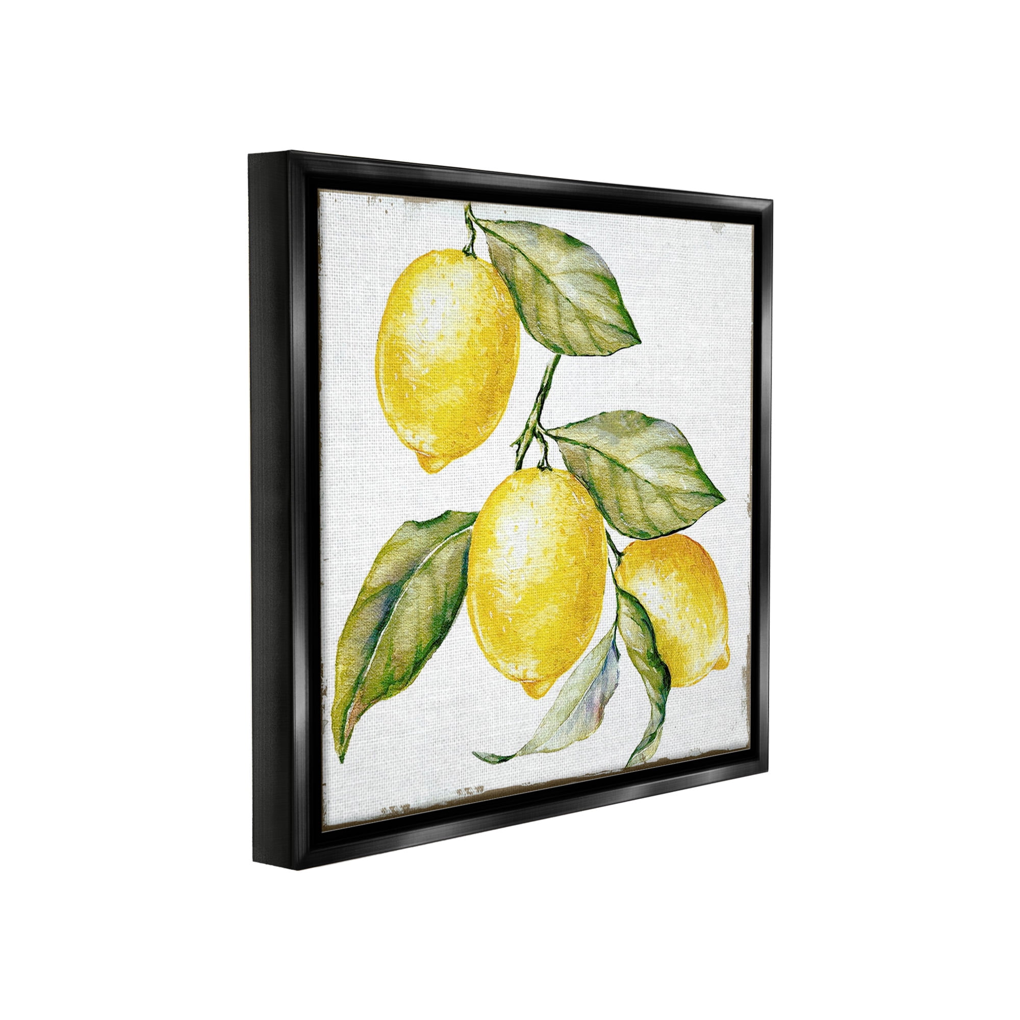 Stupell Industries Rustic Citrus Fruits Food & Beverage Painting Black Floater Framed Canvas Art Print Wall Art, 18 x 18