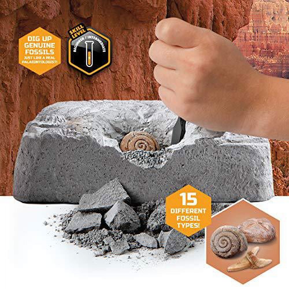 Discovery #Mindblown Colossal Fossil Dig Excavation Kit photo 3