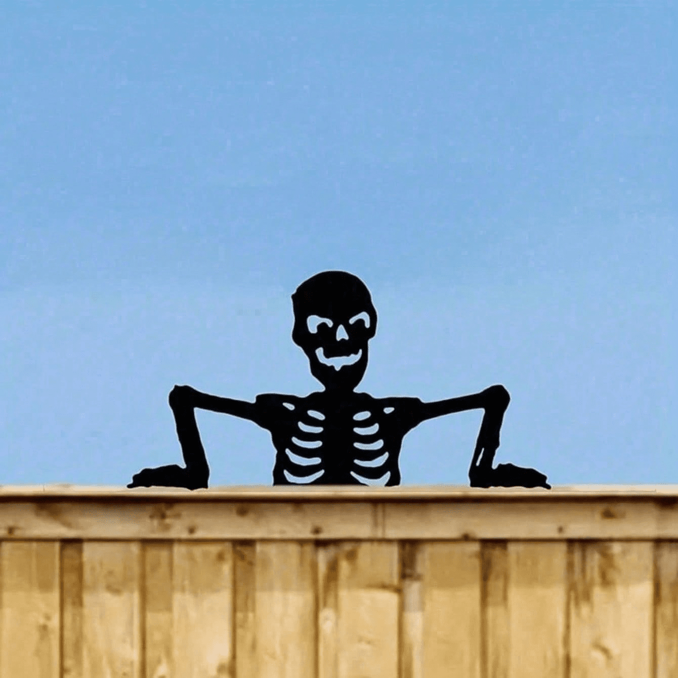 Gothic Iron Skull Silhouette Wall Plaque for Indoor Outdoor Halloween Decor