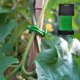 thumbnail image 3 of Planta de jardín en maceta con forma de enredadera trepadora cubierta con alambre de hierro verde, 3 of 7