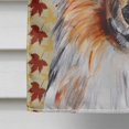 thumbnail image 4 of Caroline's Treasures SC9670CHF Collie Automne Feuilles Drapeau Toile, Grand, Multicolore, 4 of 5