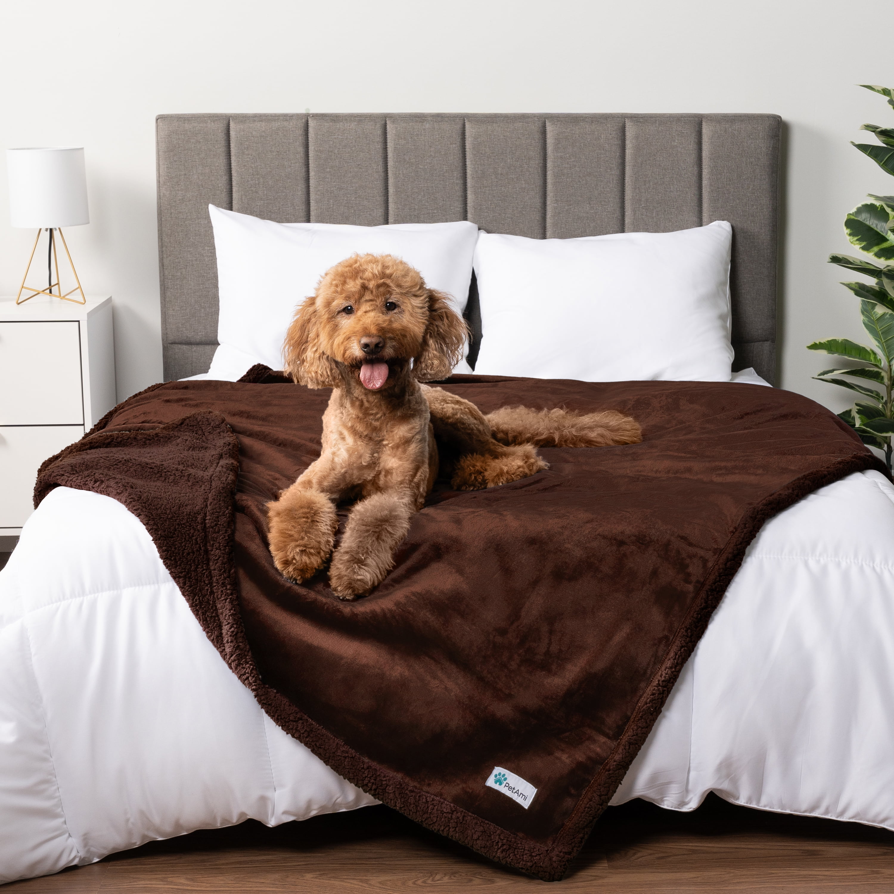 PetAmi Waterproof Dog Blanket for Medium Large Dog Puppy Cat Throw for Couch Cover Leakproof Protection, Sherpa Fleece, Reversible Soft Washable 60x40 Brown Brown