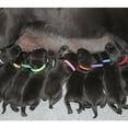 thumbnail image 3 of 12 piezas 12 collares de diferentes colores anillo de cuello de poliéster para mascotas suministros prácticos para mascotas para cachorros de perro, 3 of 4