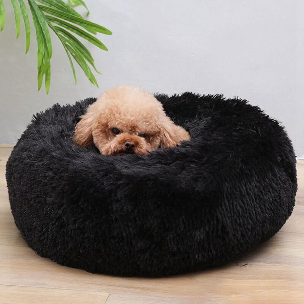 fluffy beds for dogs