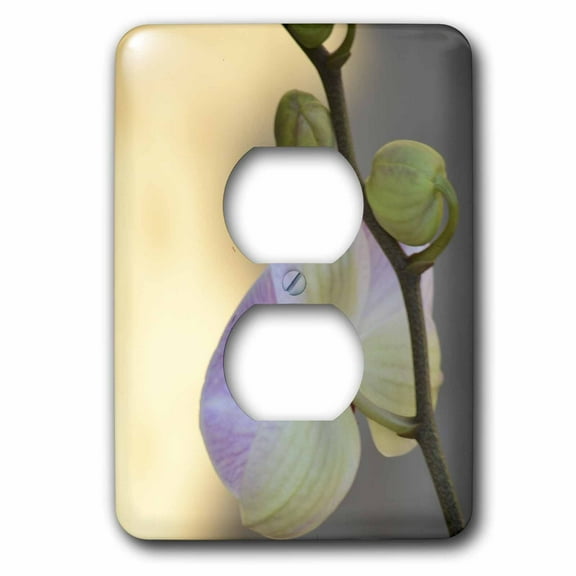 3dRose, Elegant Orchid- Flowers- Floral Photography- Zen, 2 plug outlet cover