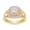 Vermeil, variant on Double Halo Bridal Ring Set for Women 1.00 Cttw Princess and Round Cut Lab Grown Diamond Split Shank Engagement Wedding Rings in 14K White Gold Plated 925 Sterling Silver Jewelry Size-5
