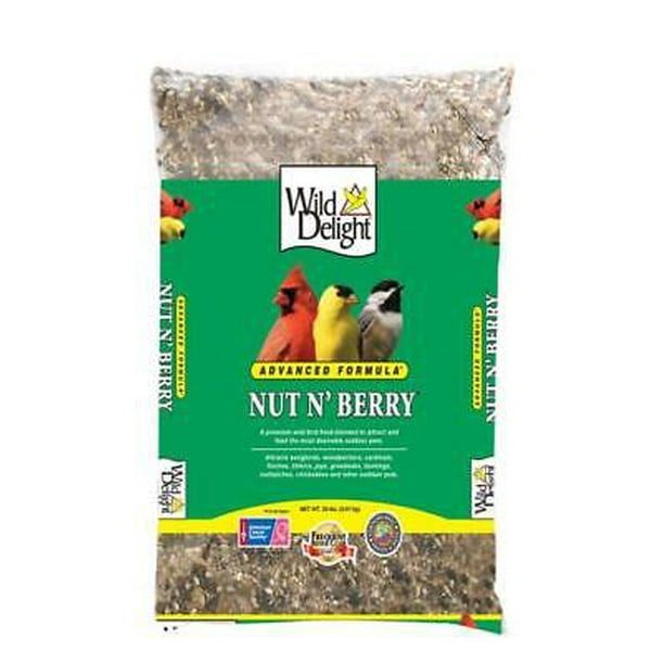 Wild Delight Nut N Berry Assorted Species Sunflower Kernels Wild Bird