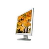 KDS K917s - LCD monitor - 19" - 1280 x 1024 @ 75 Hz - 250 cd/m������ - 450:1 - 16 ms - VGA - silver