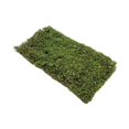 thumbnail image 2 of TISHITA Grass Tufts Model DIY Simulation Grass Cluster DIY Scenery Landscape Railway S S, 2 of 8