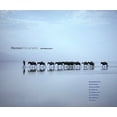 thumbnail image 1 of Human Documents: Eight Photographers (Peabody Museum), 1 of 1