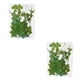 thumbnail image 3 of Advancent Hoja seca natural DIY Arte hecho a mano Planta en relieve Hojas prensadas Decoración Hogar Decorativo para tarjetas de boda de resina Hoja verde 12 2piezas Advancent CBP163988, 3 of 5