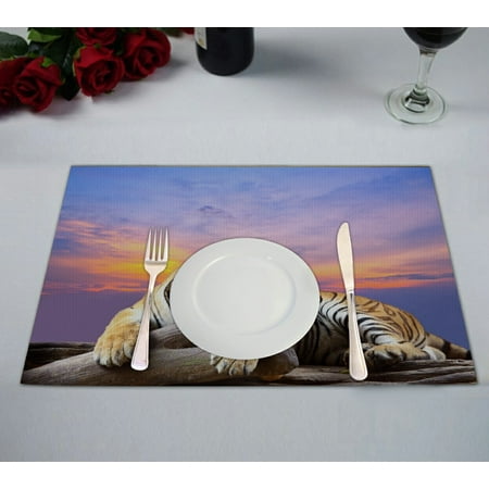 

GCKG Lying Tiger under Beautiful Sky Placemat 12x18 Inch Set of 2