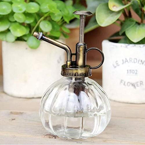 Vintage Style Water Spray Bottle with Top Pump Watering Can for Plants 