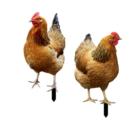 Kuntesetty 2 Pieces Hen Statue Garden Stakes Yard Art Ornaments Realistic Animal Sculptures