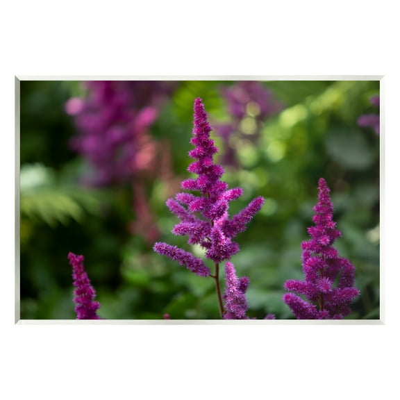 Stupell Industries Purple Flower in Nature Botanical & Floral Photography Unframed Art Print Wall Art, 15 x 10