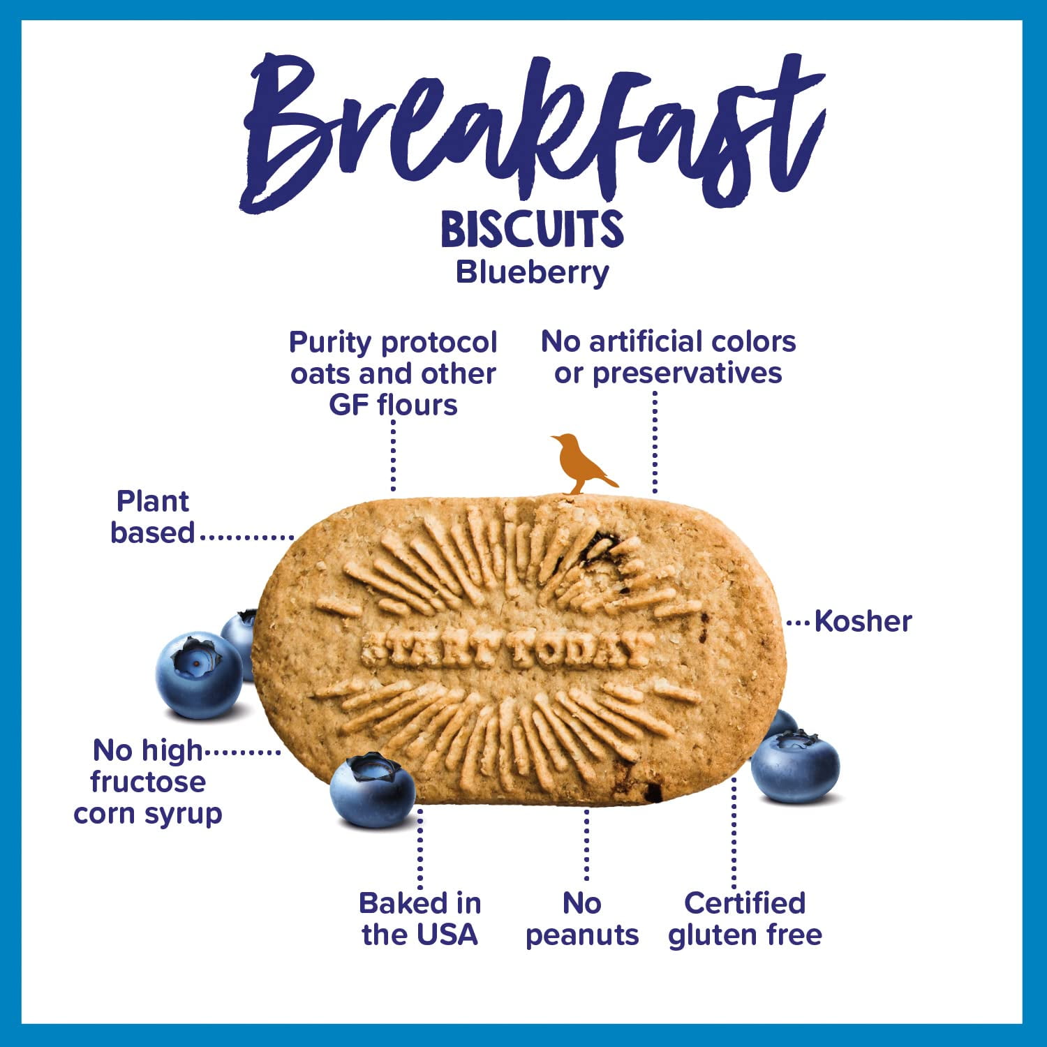 Goodie Girl, Blueberry Breakfast TMA3 Biscuits | 16 Packs | Gluten Free ...