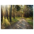 thumbnail image 2 of Road Through Green Pine Forest - Landscape Photography Canvas Print, 2 of 3