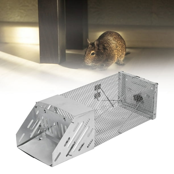 HURRISE attrape-souris, Cage de capture de souris continue automatique  réutilisable pour piège à souris pour entrept de restaurant de centre  commercial, Cage de piège à souris 