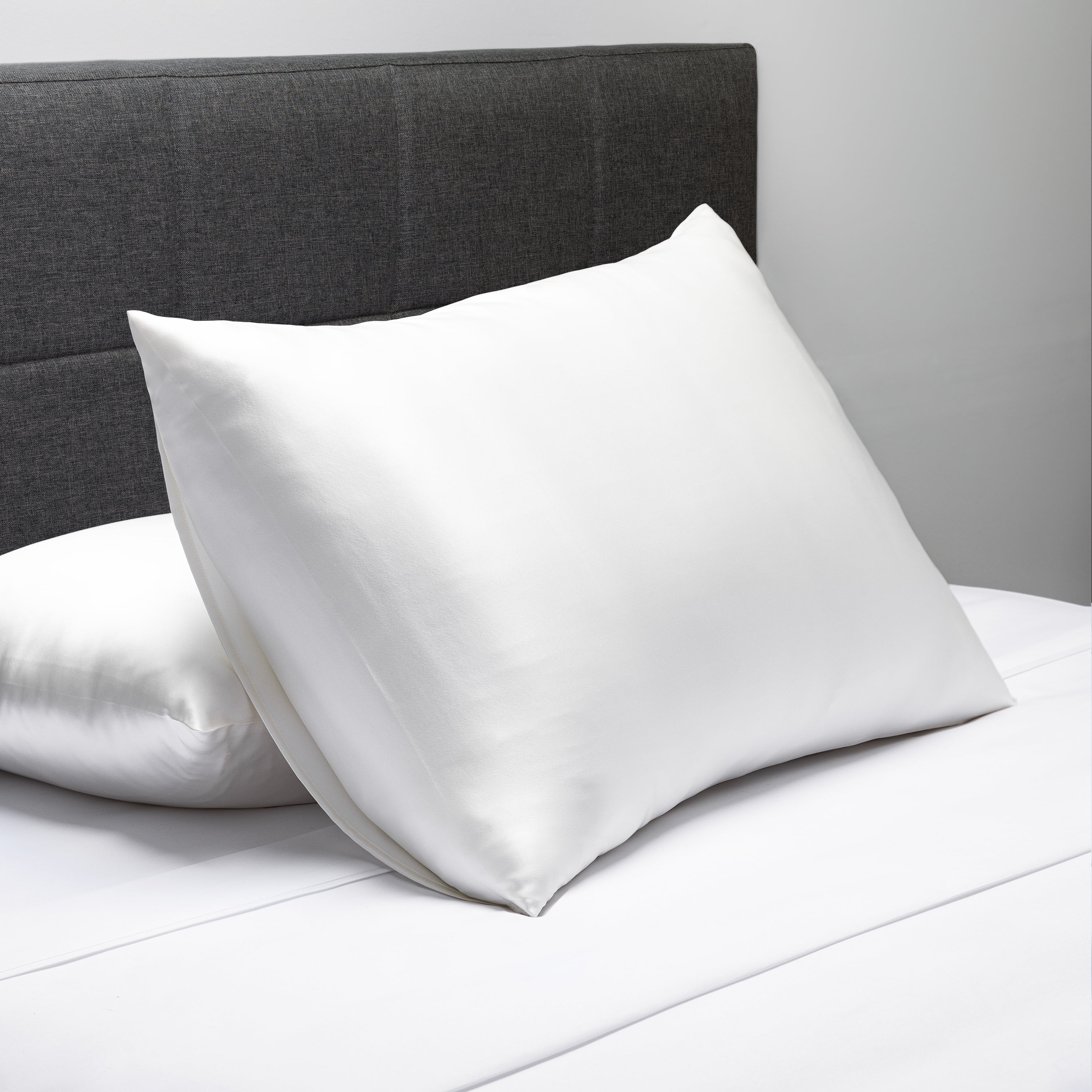 Fishers Finery 25 momme Natural White 100 Percent Pure Mulberry Silk Pillowcase, Queen