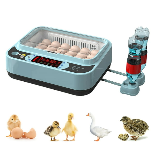 Incubadora de huevos incubadoras para huevos para incubar volteador automático incubadoras de pollos incubadoras de pollos incubadoras de aves de granja Incubadoras de huevos para ANGGREK Otros