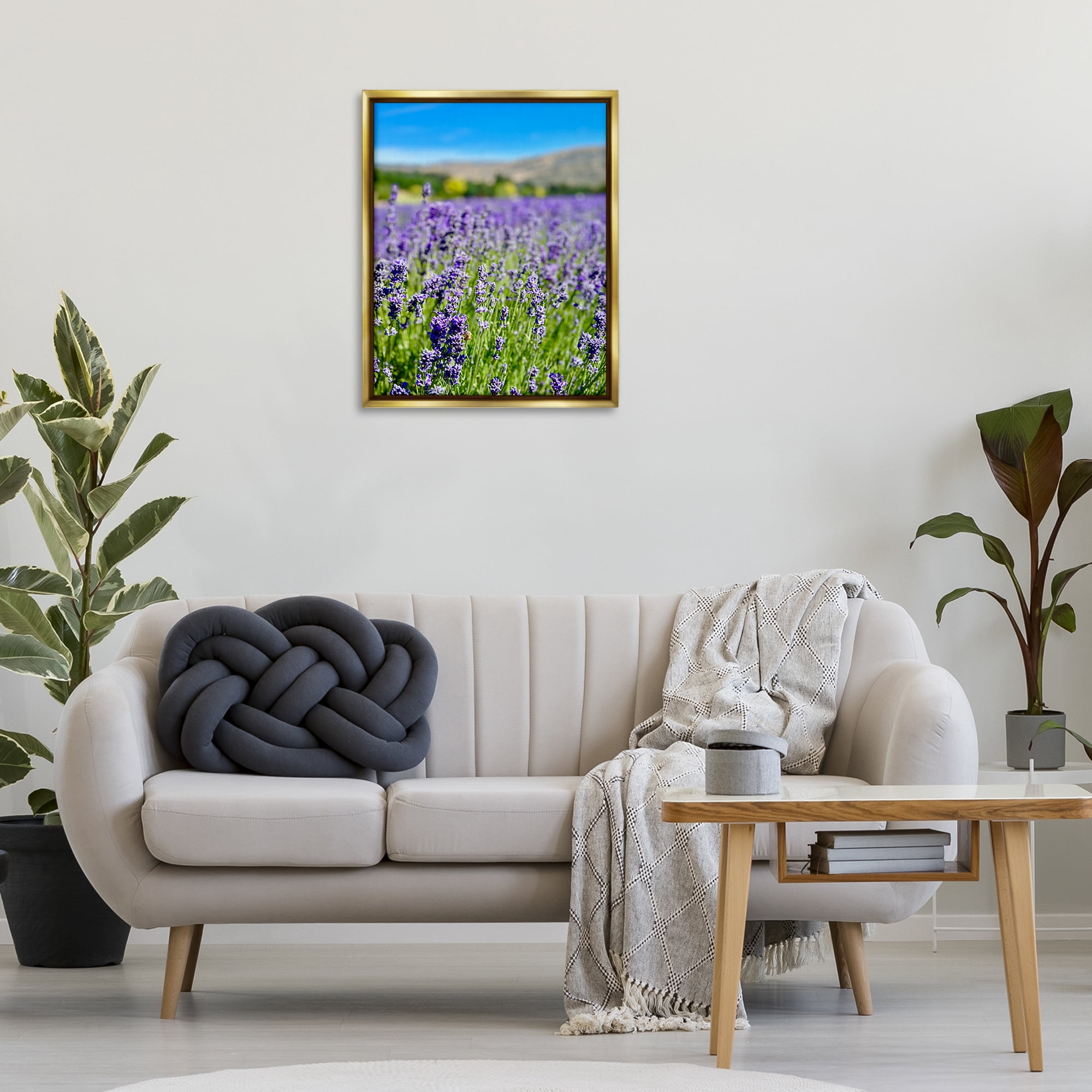 Stupell Industries Lavender in the Wind Landscape Photography Gold Floater Framed Art Print Wall Art, 25 x 31