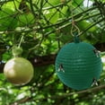 thumbnail image 2 of 6PCS Fruit Fly Trap Balls, Sticky Fly Traps for Fruit Trees, Hanging Insect Gnat Traps for Orchard Garden, Reusable Pest Control for Citrus, Apple, Orange Trees, 2 of 9