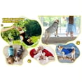 thumbnail image 5 of 8pcs Of Stylish & Airy Dog Shirts - Perfect For Pet Outdoor Playing, 5 of 5