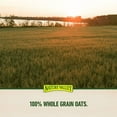 thumbnail image 4 of Nature Valley Sweet and Salty Nut Peanut Granola Bars (36 ct.), 4 of 7