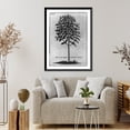 thumbnail image 4 of Historic Framed Print, Arbre du café deffiné en Arabie fur le naturel, 17-7/8" x 21-7/8", 4 of 9