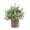 Eucalyptus potted plant, variant on Mini Potted Plants Artificial Eucalyptus Boxwood Rosemary Faux Herbs Small House Plants 8.3"-9" Tall for Indoor Greenery Tabletop Décor Centerpiece (Sprayed Eucalyptus)