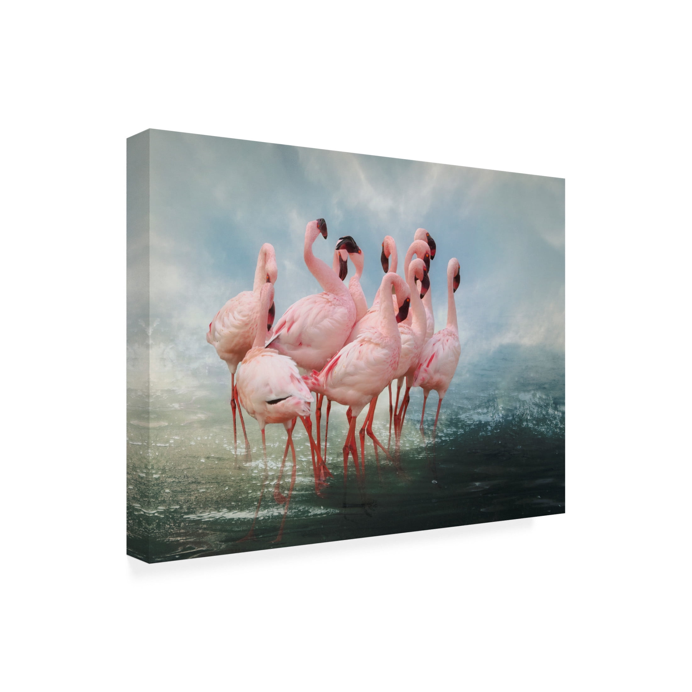 Trademark Fine Art Krystina Wisniowska Lesser Flamingo Summit Canvas Wall Art