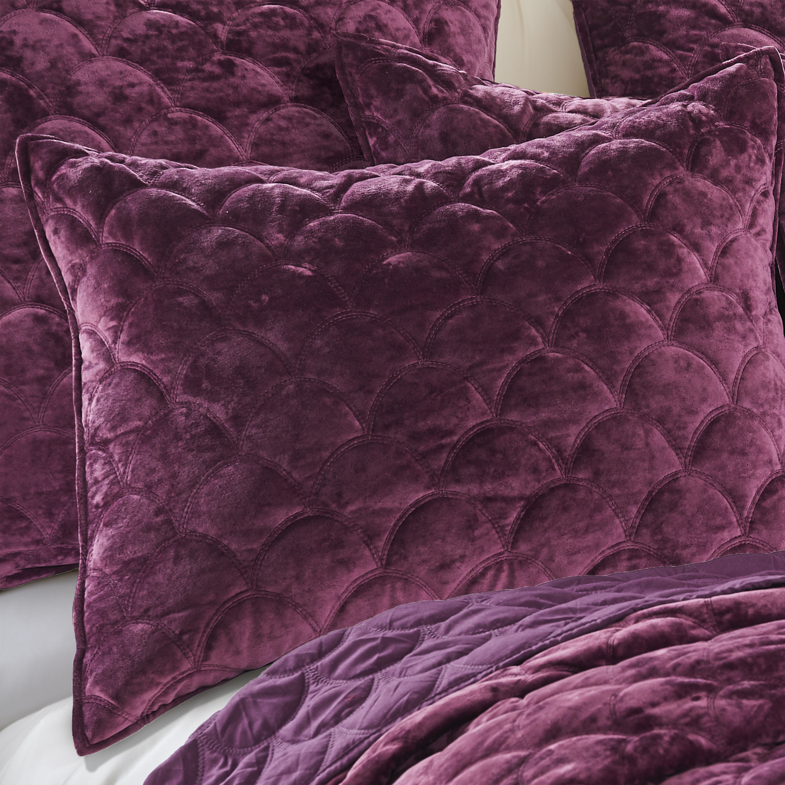 Levtex Home - Ellora Standard Sham - Plum - Crushed Velvet - Scallop Quilting - 20 x 26 in. - Polyester Velvet