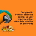 thumbnail image 5 of Kaytee Fiesta Macaw Food 25 pounds, 5 of 14