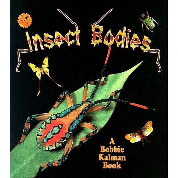 World of Insects Insect Bodies, (Paperback)