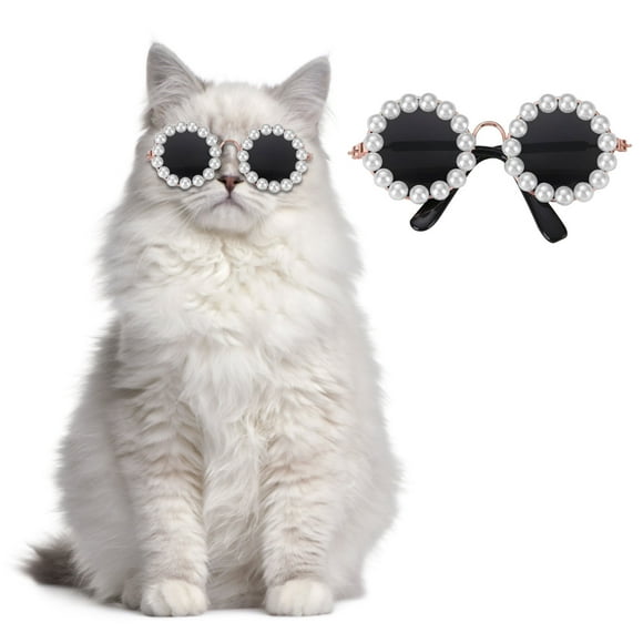 Dvkptbk Glasses Pet Glasses Dog Glasses Sunglasses Pet Accessories Photo Accessories Dog Sunglasses