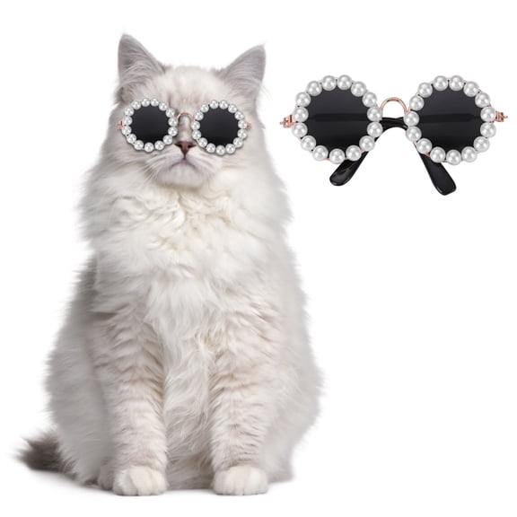 TechToyHub Pet Sunglasses for Small Dogs and Cats, Adjustable Strap for Outdoor Walking, UV Protective Goggles for Beach and Travel, Cute Photo Accessory, Lens Width 3.1 in