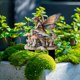 thumbnail image 4 of Bohemian Garden Pile Decoration Acrylic Courtyard Floor Card Flower Pot Decoration, 4 of 5