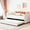 Beige, variant on Beige Daybed with Ergonomic Design | Ideal for Small Apartments and Sleepover Parties | Combine Comfort and Aesthetics in Your Living Space