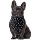 thumbnail image 3 of Pañuelos para perros 4 piezas; Bandana de algodón suave para perros, para uso diario, bandanas para perros para niños, lavable Zhivalor CPB-SSW552, 3 of 5