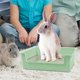 thumbnail image 1 of Caja de arena para conejos, bandeja para orinar, fácil de limpiar, valla elevada, caja para orinal, esquina de entrenamiento para conejillo de , Verde Yinane Inodoro con bandeja de arena, 1 of 8