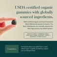 thumbnail image 4 of Gaia Herbs Black Elderberry (Sambucus nigra) Extra Strength Gummies - Delicious Immune Support Supplement* - Certified Organic Black Elderberries for Immune System Support* -120 Gummies (60 Servings), 4 of 9