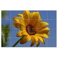 thumbnail image 1 of Flowers Pdphotoh Ceramic Tile Mural Kitchen Backsplash Bathroom Shower, 405058-X, 1 of 3