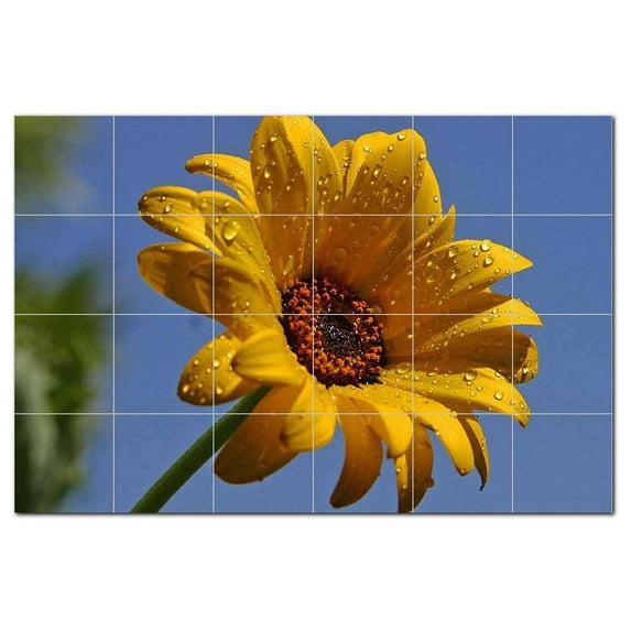 Flowers Pdphotoh Ceramic Tile Mural Kitchen Backsplash Bathroom Shower, 405058-X