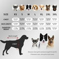 thumbnail image 2 of HQREA Full Body Dog Winter Coat Fleece Dog Sweater Warm Dog Pajamas for Large Medium Dogs, 2 of 6